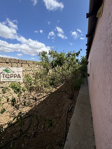 Объявление Z1619