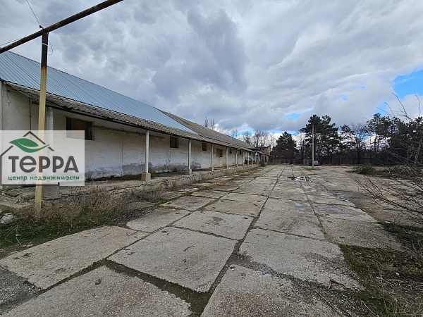 Объявление KP99