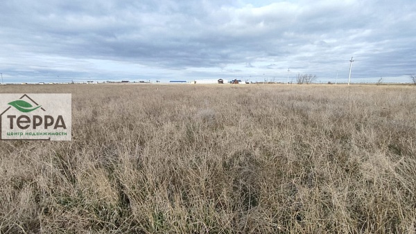 Объявление Z1142