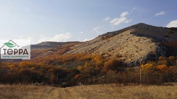 Объявление Z1805