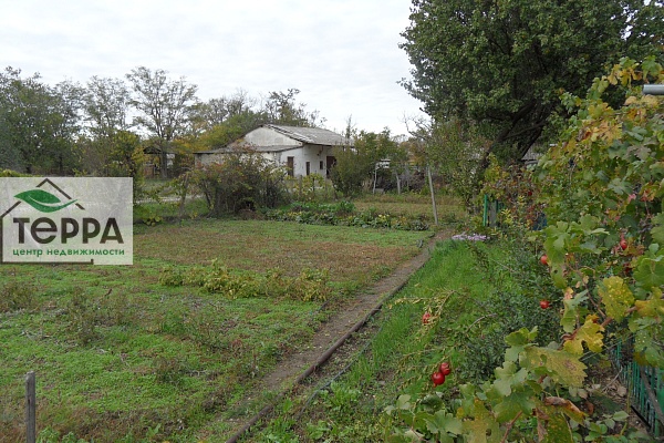 Объявление Z1779