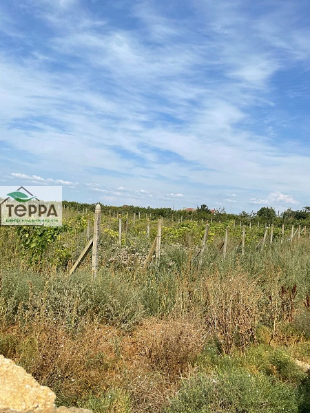 Объявление Z1827