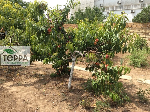 Объявление Z1162