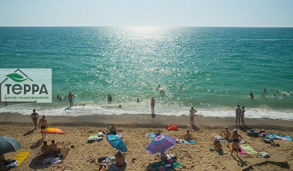 Объявление Z1591