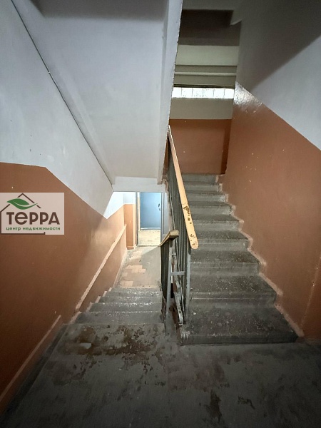 Объявление V1906