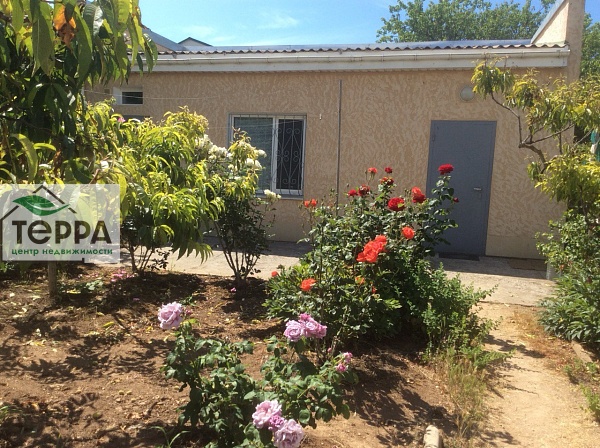 Объявление Z1162