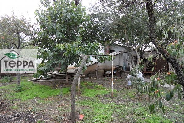 Объявление Z1779