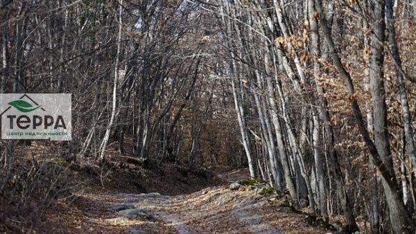 Объявление Z1805