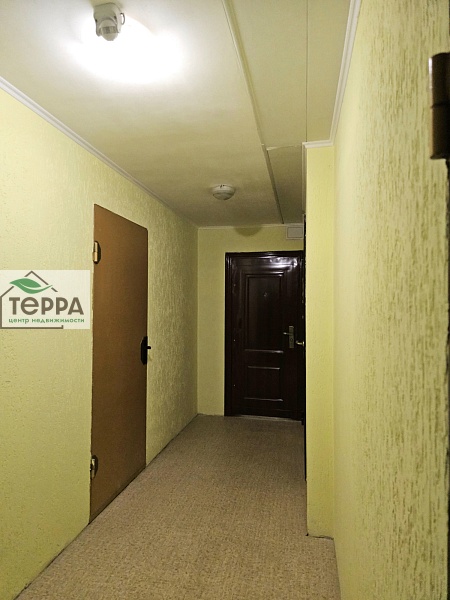 Объявление V1901