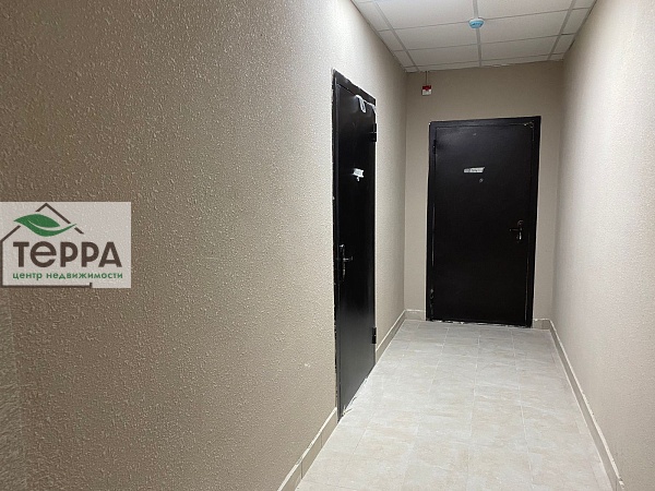 Объявление V1805