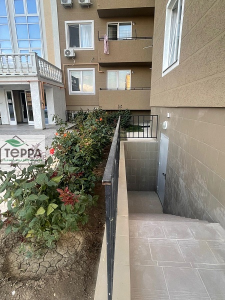 Объявление V1861