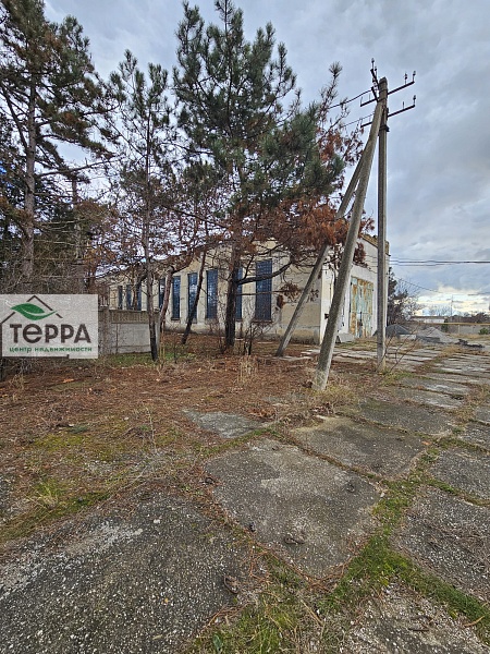 Объявление KP99