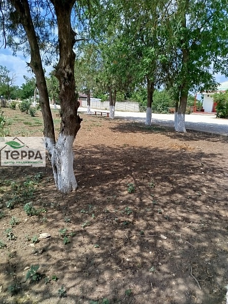 Объявление Z1636