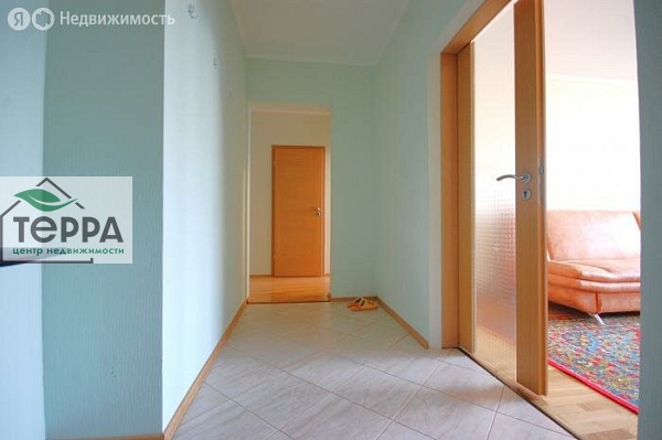 Объявление V1556