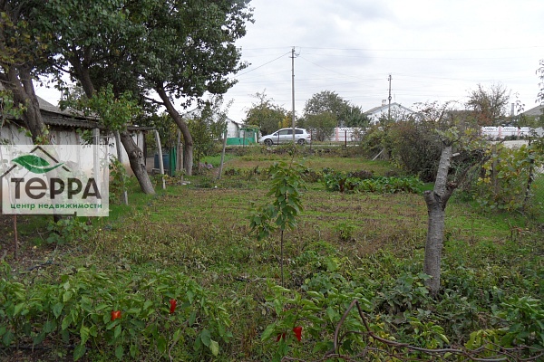 Объявление Z1779