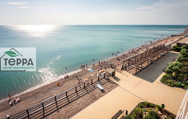 Объявление Z1591