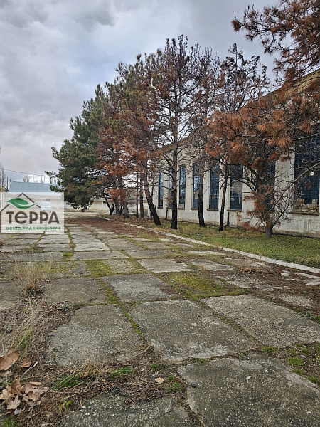 Объявление KP99