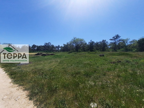 Объявление Z1560