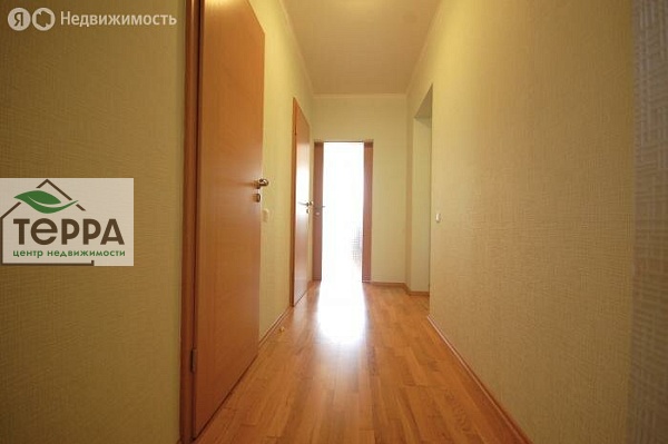 Объявление V1556