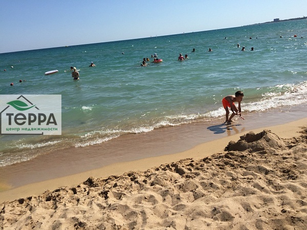 Объявление Z1162