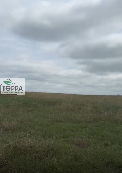 Объявление Z1596