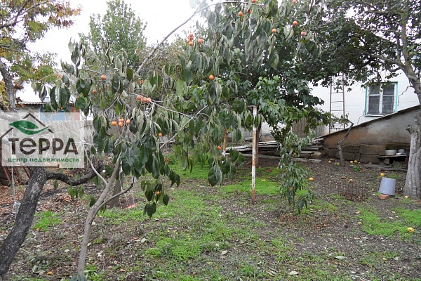 Объявление Z1779