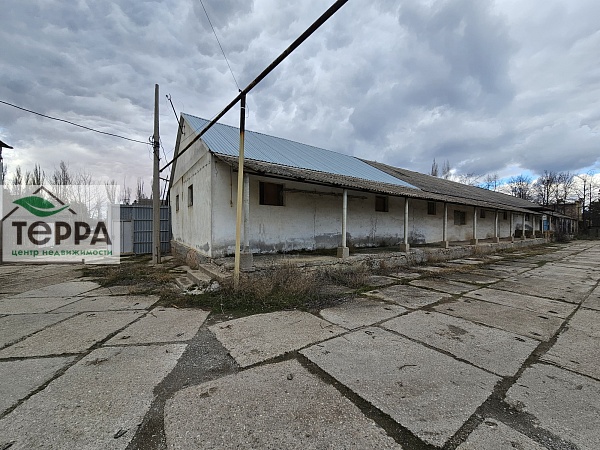 Объявление KP99