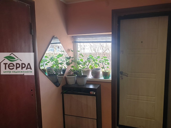 Объявление Z1564