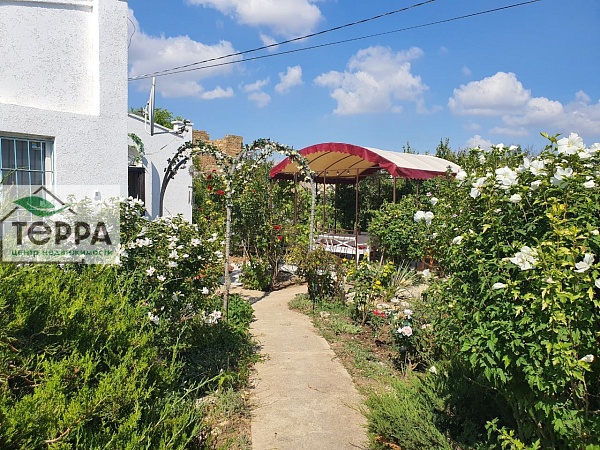 Объявление Z1569