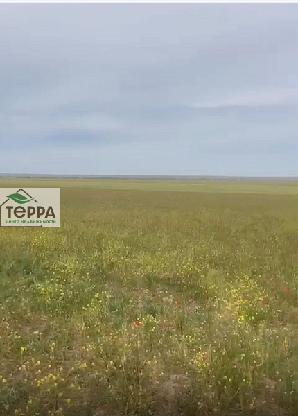 Объявление Z1567