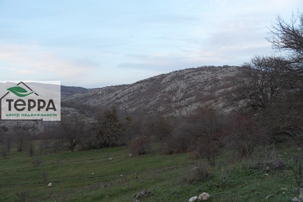 Объявление Z1805