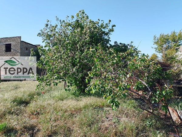 Объявление Z1776