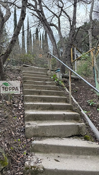 Объявление Z1481