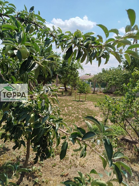 Объявление Z1636