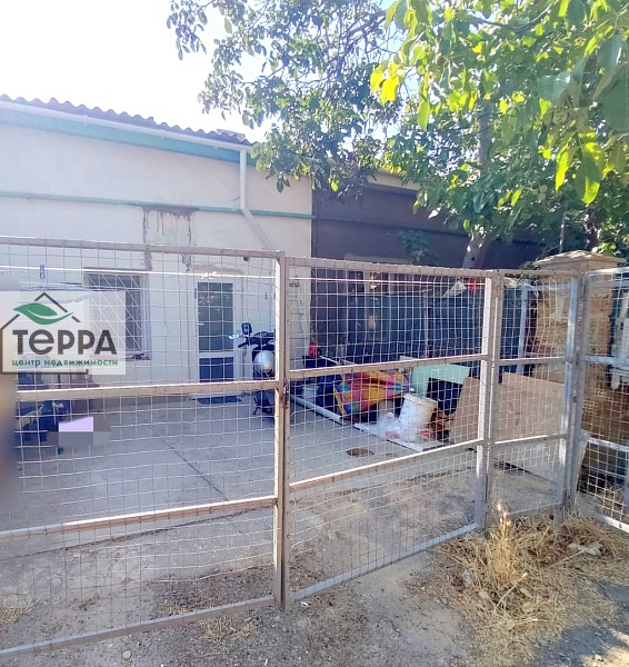 Объявление V1667