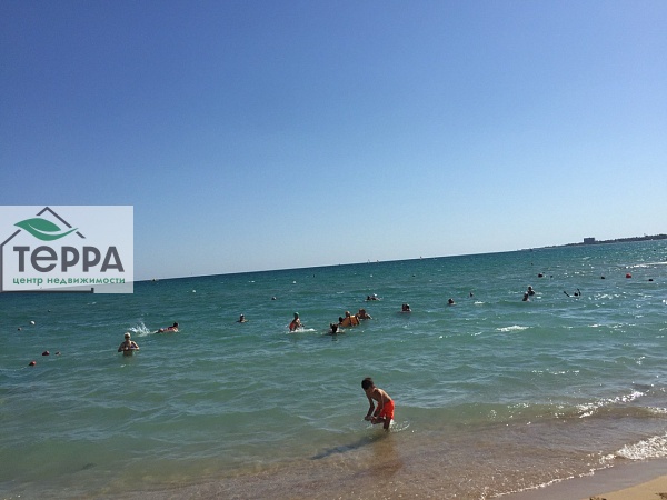 Объявление Z1162