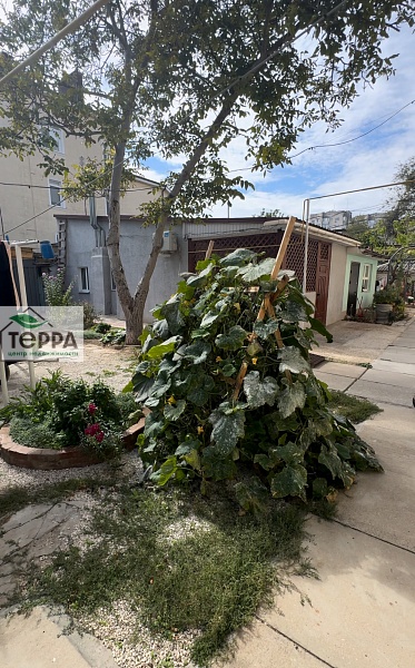 Объявление V1832