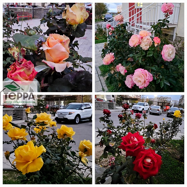 Объявление V1907