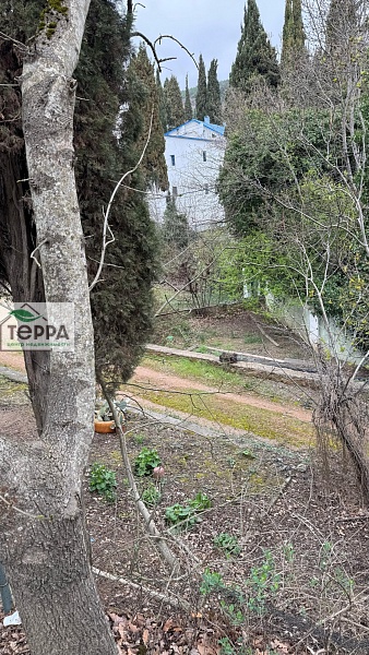 Объявление Z1481