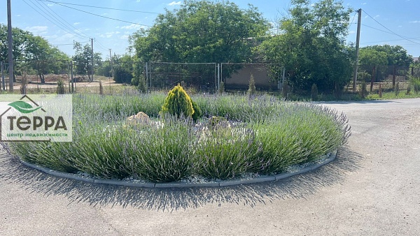 Объявление Z1606