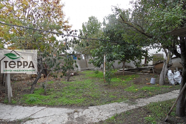 Объявление Z1779