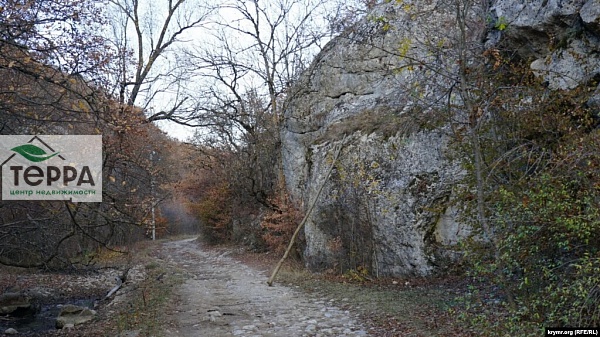 Объявление Z1805