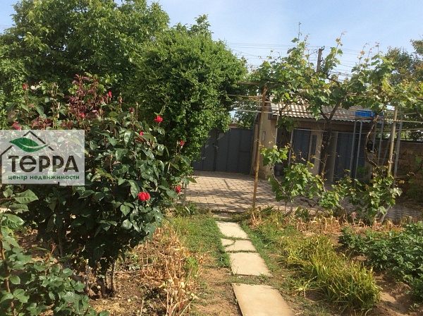 Объявление Z1162