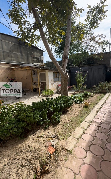 Объявление V1832