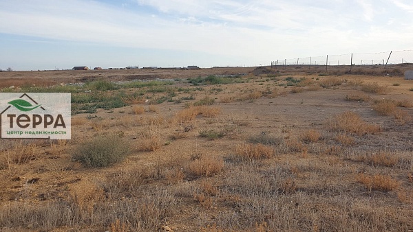 Объявление Z1742