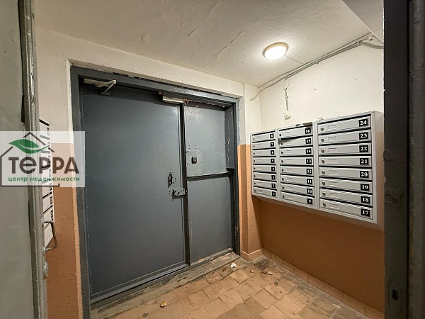 Объявление V1906