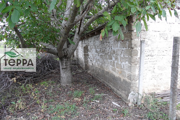 Объявление Z1779