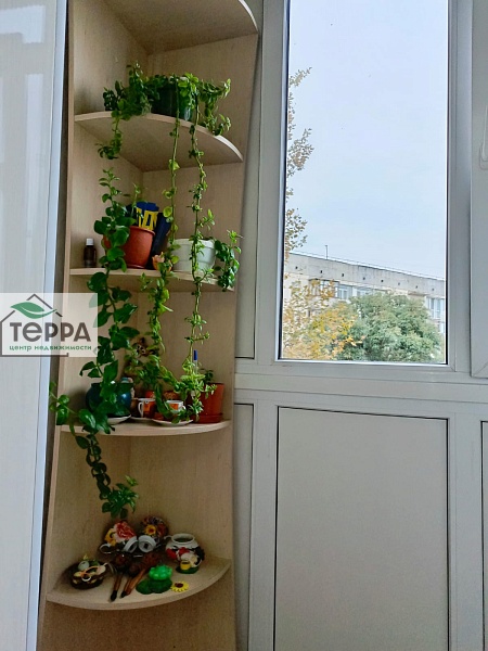 Объявление V738
