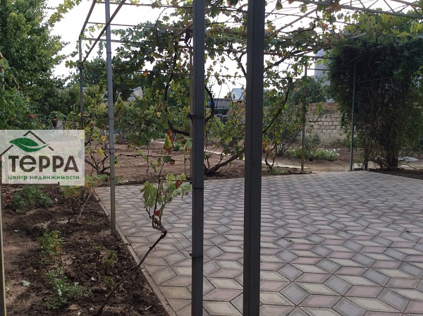 Объявление Z1162