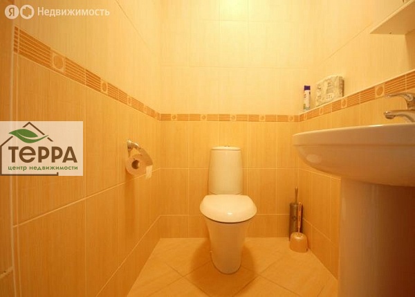 Объявление V1556